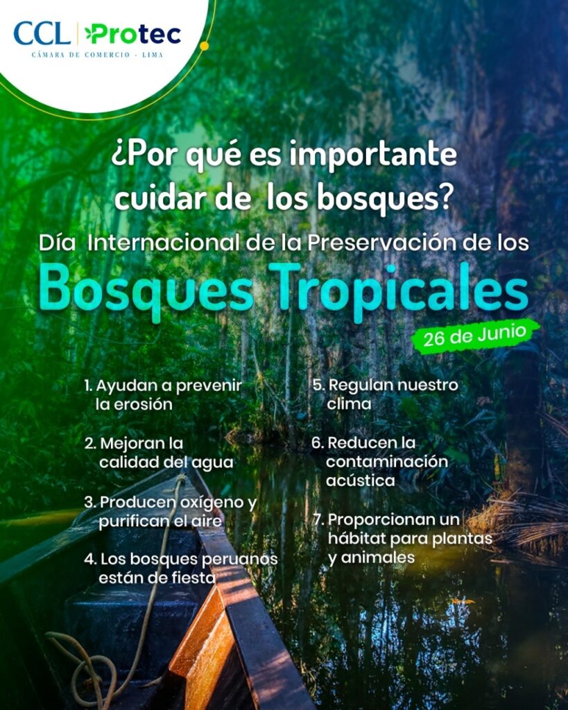 DÍA INTERNACIONAL DE LA PRESERVACIÓN DE LOS BOSQUES TROPICALES – Protec